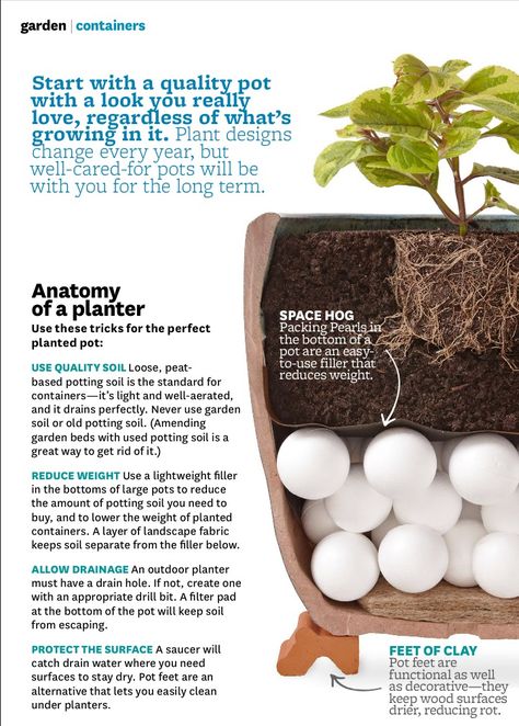 Packing Pearls for large planters (Better Homes & Gardens March 2014) Patio Planter Boxes, نباتات منزلية, Potted Plants Outdoor, Container Gardening Flowers, Patio Planters, Grow Plants, Large Backyard, Container Gardening Vegetables, Garden Containers