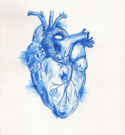 Blue Anatomical Heart, Feels Playlist, Blue Ink Drawing, Drawing Blue, Blue Drawings, Everything Is Blue, Cute Blue Wallpaper, Light Blue Aesthetic, Blue Aesthetic Pastel