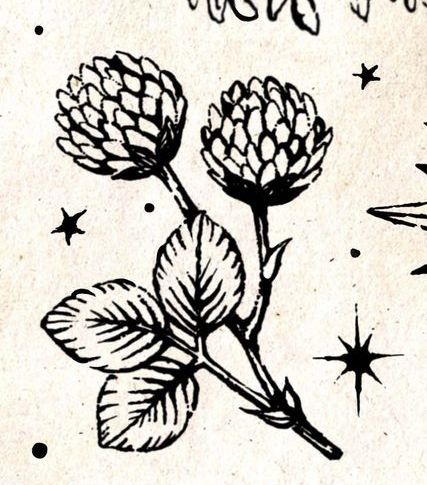 Woodcut Art Tattoo, Wood Print Tattoo, Woodcut Flower Tattoo, Linocut Style Tattoo, Woodcut Tattoo Nature, Wood Cut Tattoo Style, Folk Traditional Tattoo, Lino Print Tattoo, Bella Donna Tattoo