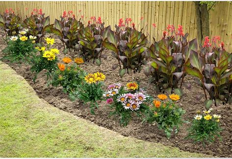 Gazania Flowers Gardens, Gazania Flowers, Watering Plants, Garden Centers, Desert Flowers, Montezuma, Water Plants, Garden Center, Media Art