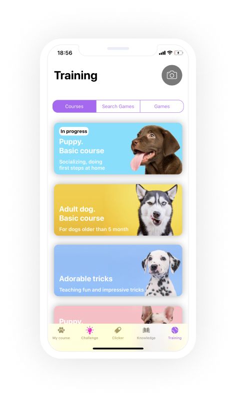 Dog Training & Clicker App - EveryDoggy Dog Training App, Pet App Design, Dog Apps, Fitness Tracker App, Pet Health Record, Logo Site, Cat App, App Design Layout, Android App Design