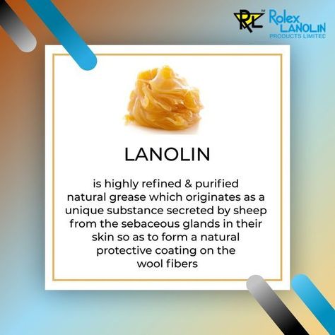 Rolex Lanolin products like lanolin oil and lanolin cream are used in sunscreens, make-up, bath products, shaving cream, hair care, nail polish, fragrance etc. Lanolin Cream, Pathology Lab, Cream Hair, Certificate Of Appreciation, Home Health Care, Bath Products, Shaving Cream, Anatomy Art, Diy Beauty