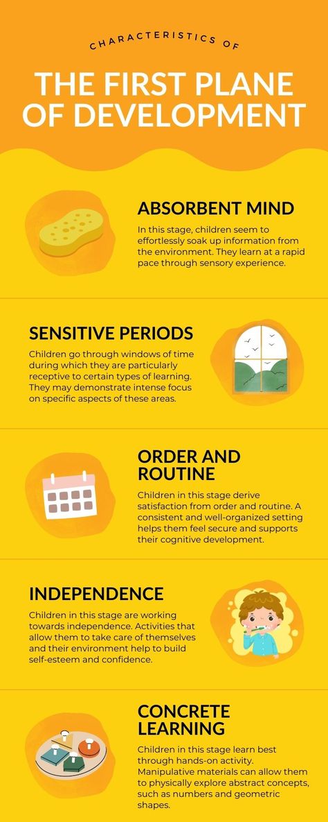 Infographic showing 5 characteristics of the first plane of development Skills List, Early Adulthood, Montessori Environment, Montessori Method, First Plane, Philosophy Of Education, Montessori Toddler Activities, Spatial Relationships, List Of Skills