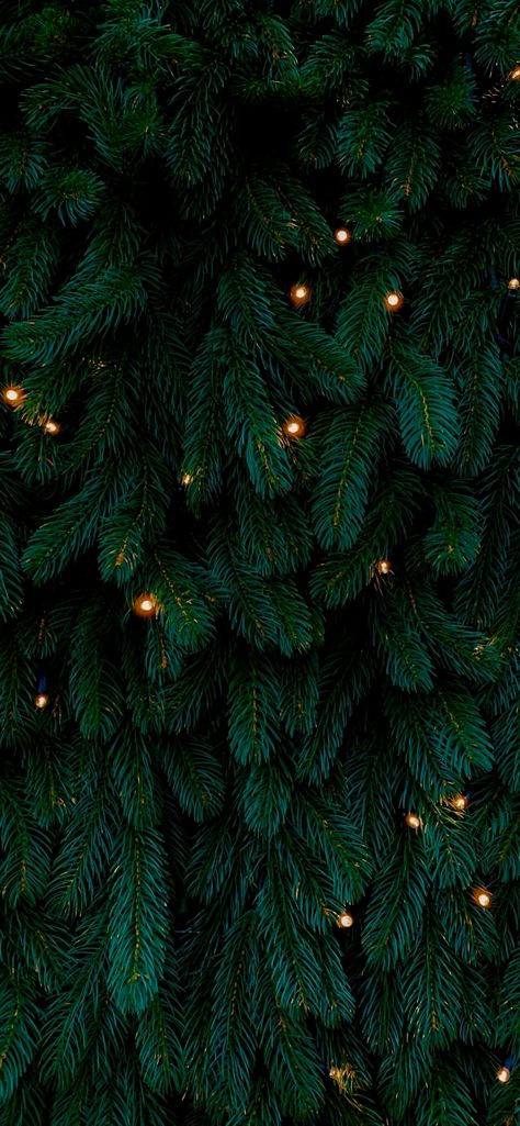 Christmas Wallpaper Iphone Aesthetic, Christmas Wallpaper Iphone, Ipad Backgrounds, Backgrounds Christmas, Christmas Lights Wallpaper, Wallpaper Iphone Aesthetic, Tree Background, Wallpapers Ipad, Christmas Tree Background