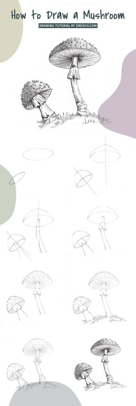 Mushrooms are fun and comparatively easy to draw. In today’s drawing tutorial, I will show you some very easy steps to draw a realistic mushroom. So grab your art supplies and get ready to draw! We just need a blank paper sheet, a pencil and an eraser for this drawing. Simple Nature Drawing, Draw A Mushroom, Realistic Mushroom, Easy Steps To Draw, Basic Sketching, Awesome Drawing, Flower Drawing Tutorials, Mushroom Drawing, Art Tools Drawing