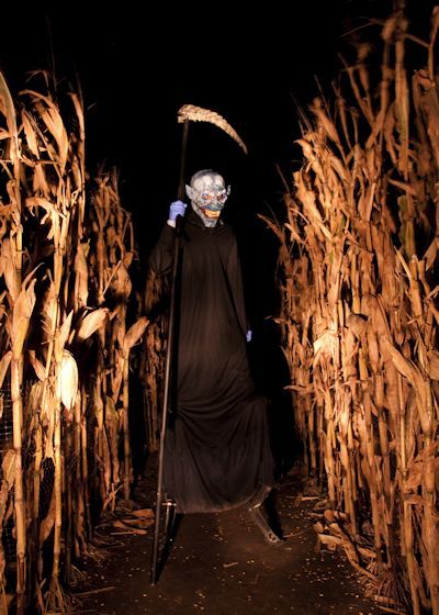 Haunted Trail Ideas, Haunted Corn Maze, Gothic Background, Haunted Maze, Cider House, Halloween Centerpiece, Corn Maze, Haunted Houses, Apple Orchard