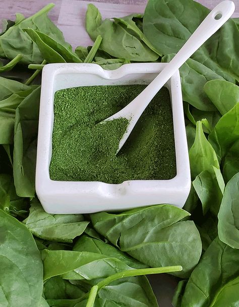 How to Dehydrate Spinach and Make Spinach Powder! - The Purposeful Pantry Purposeful Pantry, Dehydrating Food Storage, How To Make Spinach, Blueberry Powder, Dehydrated Vegetables, Mason Jar Salad, Salad Spinner, Pumpkin Leaves, Salad In A Jar