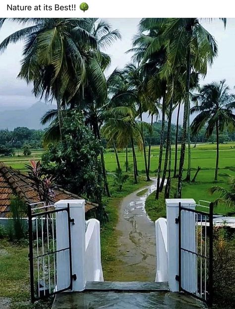 Kerala Village Photos, Kerala Village Photography, Indian Village Aesthetic, South Indian Village, Kerala Aesthetic, Kerala Village, Village Vibes, Ancient Background, Village Background