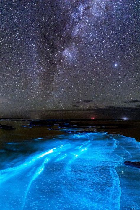 Bioluminescence Water, Jervis Bay Australia, Jervis Bay, Sea Of Stars, Undersea World, Honeymoon Spots, Beach At Night, Night Scenery, Pretty Landscapes