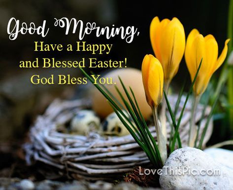 Have A Happy And Blessed Easter Pictures, Photos, and Images for Facebook, Tumblr, Pinterest, and Twitter Have A Blessed Easter, Morning Painting, Happy Easter Quotes, Blessed Easter, Easter Prayers, Easter Greetings Messages, Resurrection Day, Easter Quotes, Happy Easter Wishes