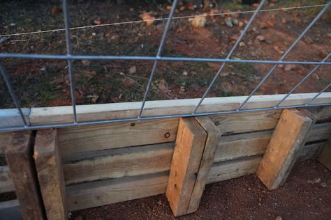 Building a Cattle Panel Pallet Greenhouse | Peak Prosperity Cow Panel Greenhouse, Pallet Greenhouse, Campsite Ideas, Horse Fence, Natural Plant Food, Hoop House, Cold Frames, Cattle Panels, Winter Gardening