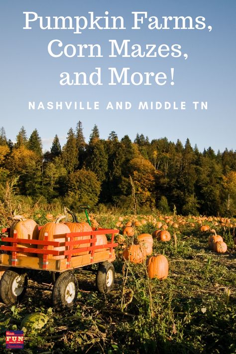 Nashville Fall Activities, Fall In Indiana, Indiana Fall Trips, Fall In Tennessee, Nashville Pumpkin Patch, Fall Tennessee, Nashville Fall, Pumpkin Patch Near Me, Fall Family Fun