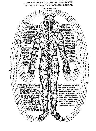 Pranic Body... Polarity Therapy, Sacred Science, Energetic Body, Esoteric Art, Spirit Science, The Nervous System, Body Energy, Geometry Art, Ancient Knowledge