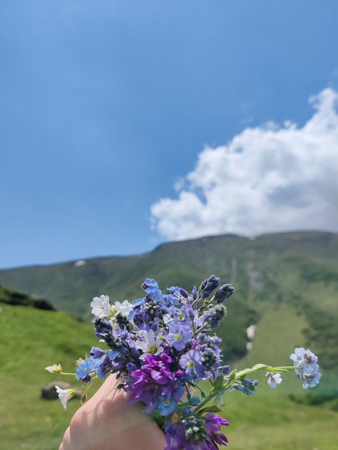 the forbidden flowers The Forbidden Flower, Forbidden Flower, Flower Wallpaper, Dandelion, Iphone Wallpaper, Engagement Rings, Iphone, Plants, Flowers