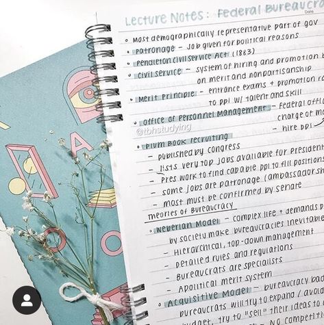 @tbhstudying Tbhstudying Notes, Alevel Motivation, Notes Wallpaper, Diy Note Cards, Notes Inspo, Handwriting Examples, Cool School, Organization Bullet Journal, Neat Handwriting