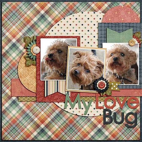 Idea for Lincoln Love Bug page Dog Scrapbook Layouts, Pet Scrapbook Layouts, Paper Bag Scrapbook, Dog Scrapbook, Pet Scrapbook, 3 Picture, Picture Layouts, Scrapbook Layout Sketches, Family Scrapbook