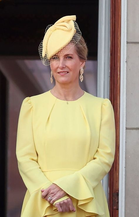 Copy Duchess Sophie's Trooping the Colour style with Hobbs dress now £164 off Duchess Sophie, Countess Wessex, Hobbs Dresses, Beulah London, Elegant Silk Dresses, Trooping The Colour, Puffed Long Sleeves, Summer Celebration, Evening Outfits