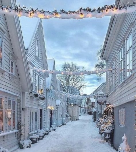 Winters Tafereel, Stavanger Norway, Winter Szenen, Norway Travel, Stavanger, Winter Scenery, Winter Pictures, Beautiful Places In The World, Pretty Places