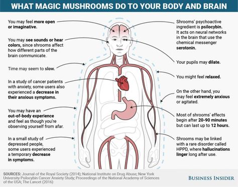 A Guide To Deduction, Mushroom Benefits, Brain Images, Natural Pain Relief, Brain Activities, Health Blog, Business Insider, The Body, Brain