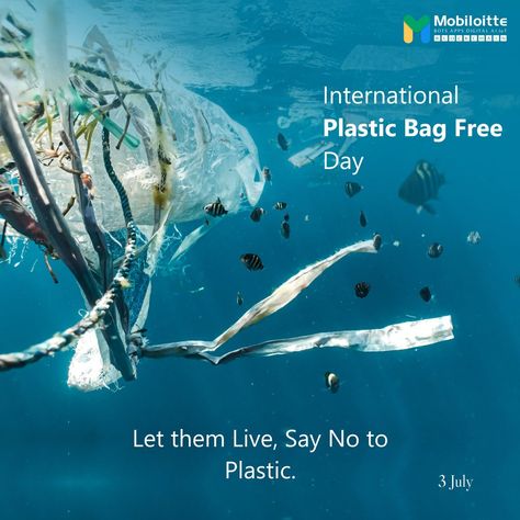 International Plastic Bag Free Day "Say No To Single-use Plastic Bags." #nomoreplastic #ecofriendlyliving #plasticpollution #zeroplastic #plasticfreeoceans #plasticfreeliving #internationalplasticbagfreeday International Plastic Bag Free Day, Plastic Bag Free Day, Day Earth, Plastic Free July, Plastic Free Living, Saying No, Plastic Pollution, Our Environment, Free Day