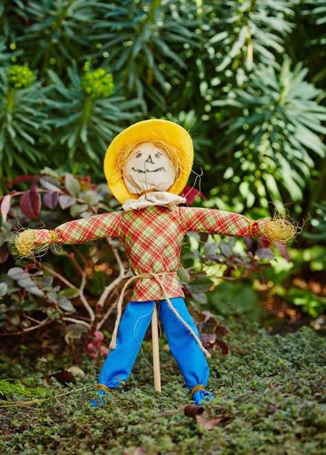 Don't be scared off that it's Friday 13th! Let the WIPPERS D.I.Y. Mini Scarecrow do the scaring instead, coming to Bunnings this October! Diy Mini Scarecrow, Mini Scarecrow, Children's Library, Farm Day, Friday 13th, Childrens Library, Fairy Tree, Garden Festival, Fall Projects