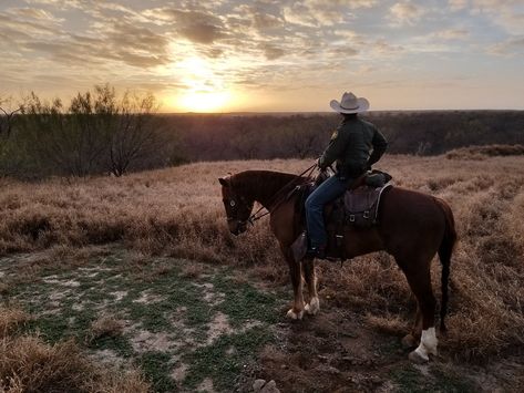 Horse Sunset, Image Border, Texas Sunset, Peace Officer, Future Dreams, Border Patrol, January 29, Homeland Security, Public Domain Images