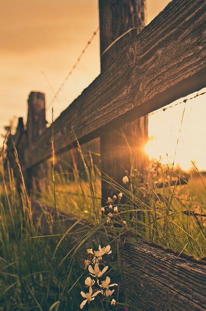 Western Aesthetic Wallpaper, Country Backgrounds, Western Photography, Screen Savers Wallpapers, Pretty Backgrounds, Western Aesthetic, Wooden Fence, Backgrounds Phone Wallpapers, Iphone Background Wallpaper