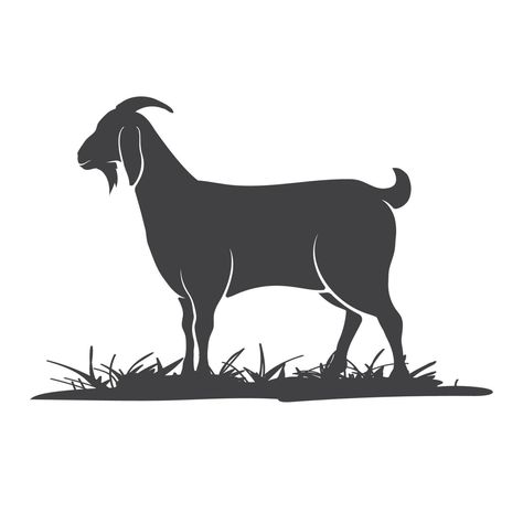 Goat vector icon silhouette. Goat side view in the grass. Farm goat animal logo design. Vector illustration. Vector illustration Goat Vector Illustration, Goat Side View, Goat Icon, Goat Vector, Goat Illustration, Animal Logo Design, Contrast Images, Sheep Vector, Goat Logo