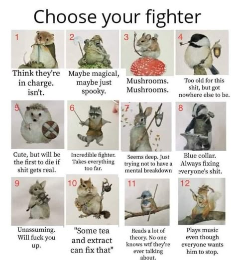 Definitely 4 Choose Your Fighter, Tea Reading, Appreciation Post, Funny Animal Memes, Which One Are You, Animal Memes, Tumblr Funny, Dungeons And Dragons, Really Funny