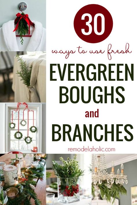 Ideas for using fresh evergreen in your holiday decor. A collection from Remodelaholic. #Remodelaholic #christmasdecorideas #holidaydecor #freshevergreen Evergreen Boughs Decorating Ideas, Christmas Boughs Decorating Ideas, Fresh Evergreen Decorations, Fresh Greens Christmas Decor, Fresh Greenery Christmas Decor, Evergreen Crafts, Evergreen Christmas Decor, Evergreen Decor, Fresh Garland