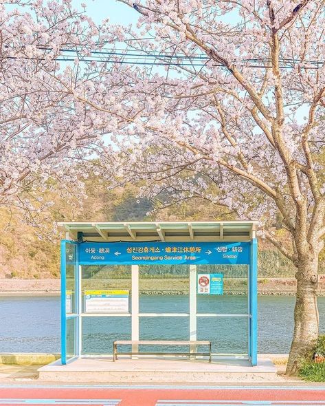 ## places Halte Aesthetic, Halte Bus, Korea Aesthetic, Bus Art, Random Places, Gear Art, Japan Trip, Bus Stop, Pastel Wallpaper