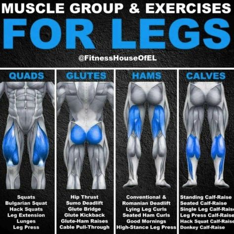 Leg Muscle Exercises, Bigger Legs, Leg Workouts Gym, Leg Muscle, Leg Exercises, Gym Workout Chart, Leg Training, Leg Day Workouts, Weight Training Workouts