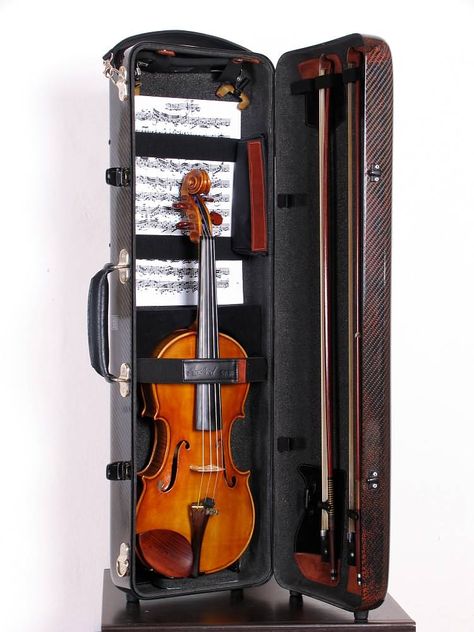 Accord violin case Violin Case Ideas, Violin Case Aesthetic, Violin Core, Violin Family, Acoustic Guitar Strap, Violin Practice, Violin Accessories, Violin Instrument, Bow Holders