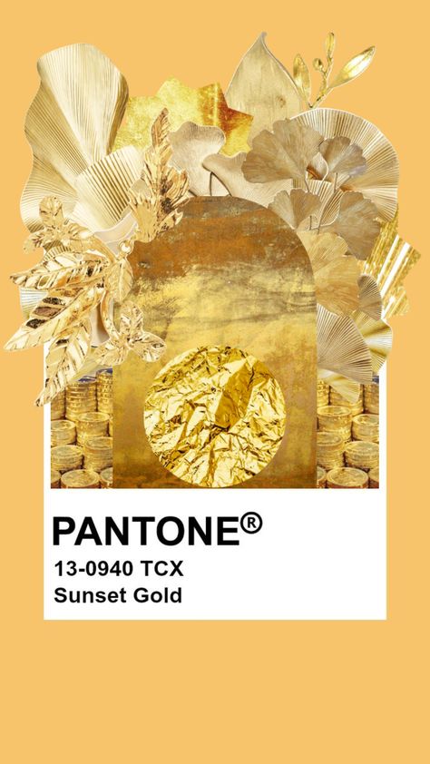 Sunset Colours Aesthetic, Gold Pantone Color, Fashion Trending Moodboard, Gold Color Palette, Gold Sunset, Dark Fantasy Artwork, Gold Palette, Aesthetic Moodboard, Gold Aesthetic