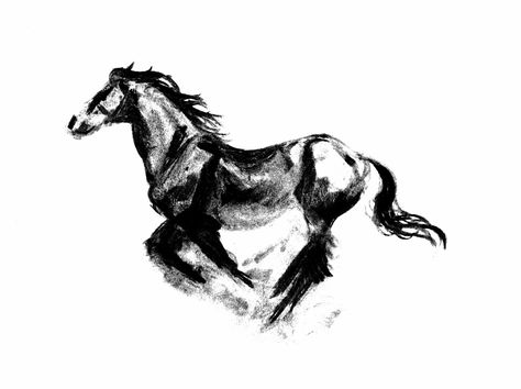 Horse Ink Drawing, Charcoal Horse Drawing, Graphite Horse Drawing, Charcole Drawings, Horse Charcoal, Horses Running Drawing, Charcoal Horse Sketch, Rearing Horse Sketch, Easy Animals