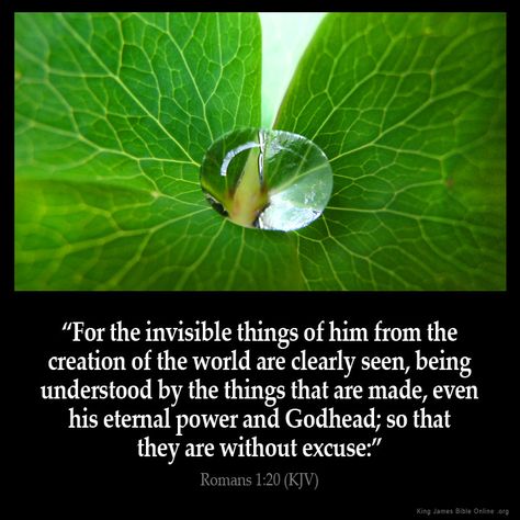 Romans 1:20  For the invisible things of him from the creation of the world are clearly seen being understood by the things that are made even his eternal power and Godhead; so that they are without excuse:  Romans 1:20 (KJV)  from King James Version Bible (KJV Bible) http://ift.tt/1P55BgK  Filed under: Bible Verse Pic Tagged: Bible Bible Verse Bible Verse Image Bible Verse Pic Bible Verse Picture Daily Bible Verse Image King James Bible King James Version KJV KJV Bible KJV Bible Verse Pic Picture Romans 1:20 Verse         #KingJamesVersion #KingJamesBible #KJVBible #KJV #Bible #BibleVerse #BibleVerseImage #BibleVersePic #Verse #BibleVersePicture #Picture #Pic #Image #KJVBibleVerse #DailyBibleVerse Bible Romans, Romans 1 20, King James Bible Online, Invisible Things, Kjv Verses, Being Understood, Creation Of The World, Bible Kjv, Kjv Scripture