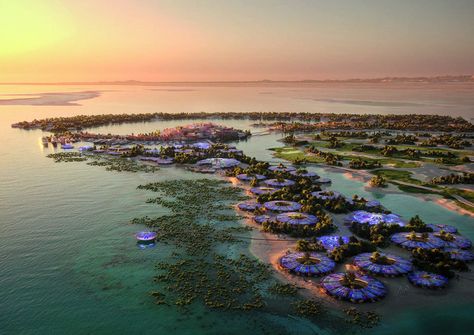 Foster + Partners Designs Coral Bloom Resort On Saudi Arabia's Shurayrah Island Red Sea Project, Underwater Restaurant, Open Hotel, Tourism Development, Foster Partners, The Red Sea, Resort Design, Luxury Destinations, Canary Wharf