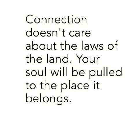 Connection doesn't care about the laws of the land. Your soul will be pulled to the place it belongs. Connection Quotes, Soulmate Quotes, Soul Connection, Soul Searching, Word Up, Worth The Wait, Infp, A Quote, True Words