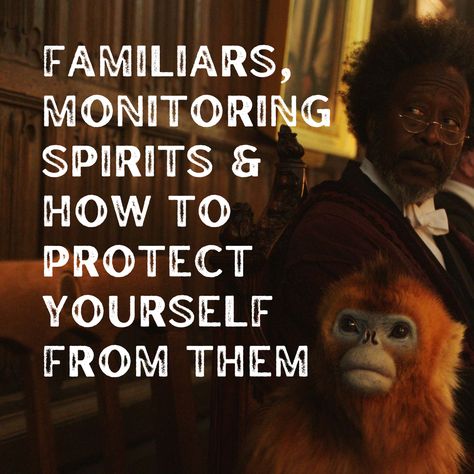 Familiars, Monitoring Spirits & How to Protect Yourself from Them — Desirée M. Mondesir Monitoring Spirits, Voice Note, Soul Ties, Spiritual Prayers, Magick Book, Spiritual Cleansing, Spirit Quotes, Prayer Room, Body Healing