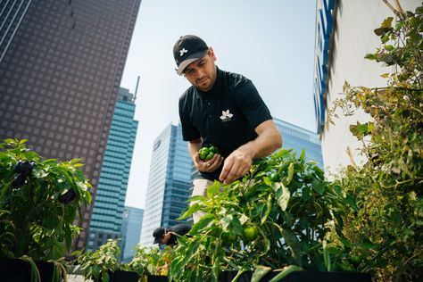 Interactive Kiosks, Modern Farmer, Mcgill University, Urban Farmer, Vertical Farming, Urban Agriculture, Sustainable Business, One Summer, Modern Urban