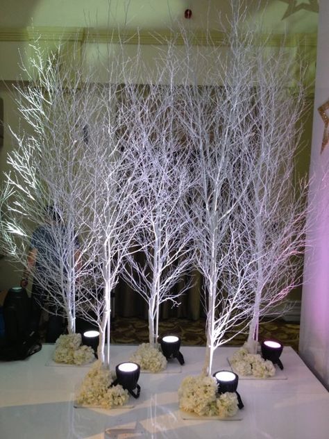 These 10ft White Birch Trees are perfect for a Winter Wonderland/Narnia/Christmas event. Christmas Tree Ribbon Decorating, Winter Wonderland-party, Christmas Stage Design, Winter Wonderland Decorations, Christmas Stage, Christmas Tree Ribbon, White Birch Trees, Winter Wedding Ideas, White Trees