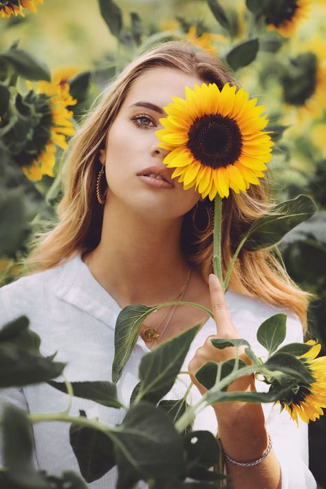 Sunflower Shoot, Sunflower Field Photography, Sunflower Field Pictures, Sunflower Photos, Field Pictures, Sunflower Photography, Field Photography, Sunflower Photo, Sunflower Pictures