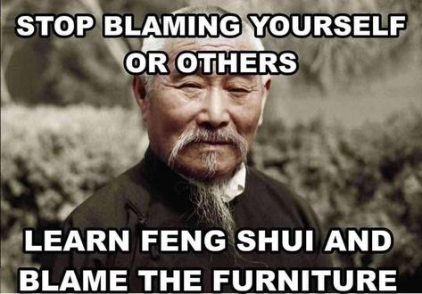 Sarcastic Quotes, Funny Signs, Bones Funny, Feng Shui, You Really, Really Funny, Funny Jokes, Fun Facts, Funny Pictures