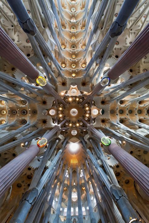 Antoni Gaudi Architecture Biomimicry Architecture, Gaudi Architecture, Blue Mosaic Tile, Gaudi Barcelona, Antonio Gaudí, Casa Batlló, Stone Facade, Antoni Gaudi, Organic Architecture