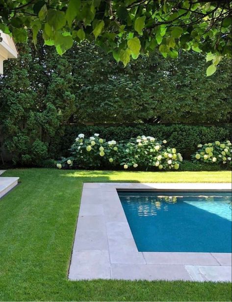 European Backyard With Pool, Pool Structure Ideas, Pool Near House, Landscaping Around The Pool, European Pool Design, Garden Pool Backyard, Pool With Grass Around It, Small Pool Landscaping, New England Pool