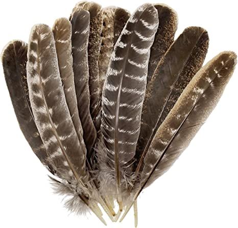 Amazon.com: 5PCS Natural Wild Turkey Feathers Spotted for Craft DIY Headdress Clothing Decoration (Turkey Wing Quill Feather 10-12" 5pcs) : Arts, Crafts & Sewing Wild Turkey Feathers, Decorated Wreaths, Turkey Wings, Wild Turkey, Pheasant Feathers, Feather Wings, Turkey Feathers, Tail Feathers, Wedding Arrangements