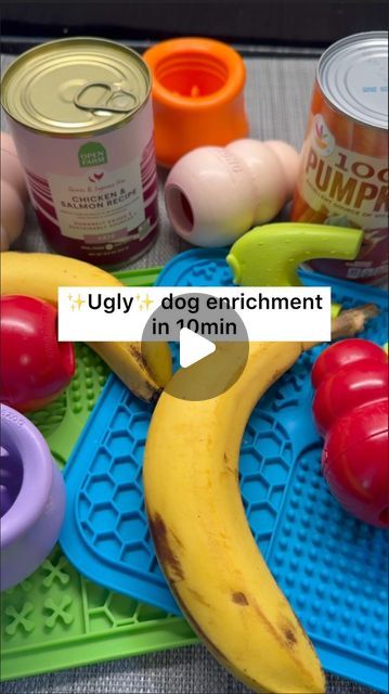 Easy Enrichment For Dogs, Lick Matt Recipes Dogs, Toppl Dog Recipes, Toppl Dog, Dog Lick Mat Recipes, Ugly Dogs, Dog Enrichment, Puppy Stuff, Dog Hacks