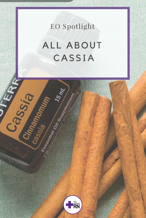 Cassia essential oil has a sweet, spicy aroma similar to cinnamon and has warming and uplifting properties. Cassia supports the digestive and circulatory systems. Aromatically, Cassia has emotionally uplifting effects. Cassia Essential Oil Uses, Cassia Essential Oil Benefits, Cassia Essential Oil, Biblical Times, Circulatory System, Doterra Oils, Oil Benefits, Oil Uses, Essential Oil Uses