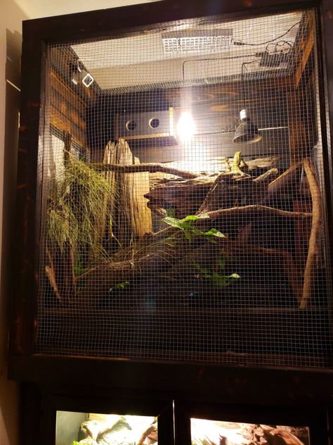 Monitor Enclosure, Reptile Terrarium, Reptile Enclosure, Quince, Reptiles, Terrarium, Quick Saves