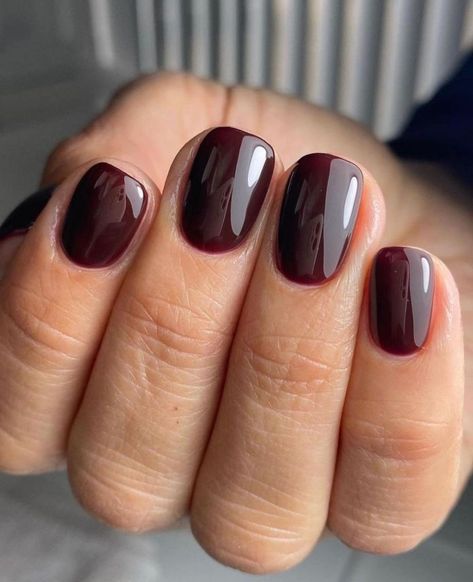 Tendenze unghie Autunno 2023 💅🏻 colori e nail art🍂 Brown Shiny Nails, Berry Nails, Maroon Nails, Nagellack Trends, Fall Gel Nails, Red Nail Polish, Nail Colours, Burgundy Nails, Red Nail